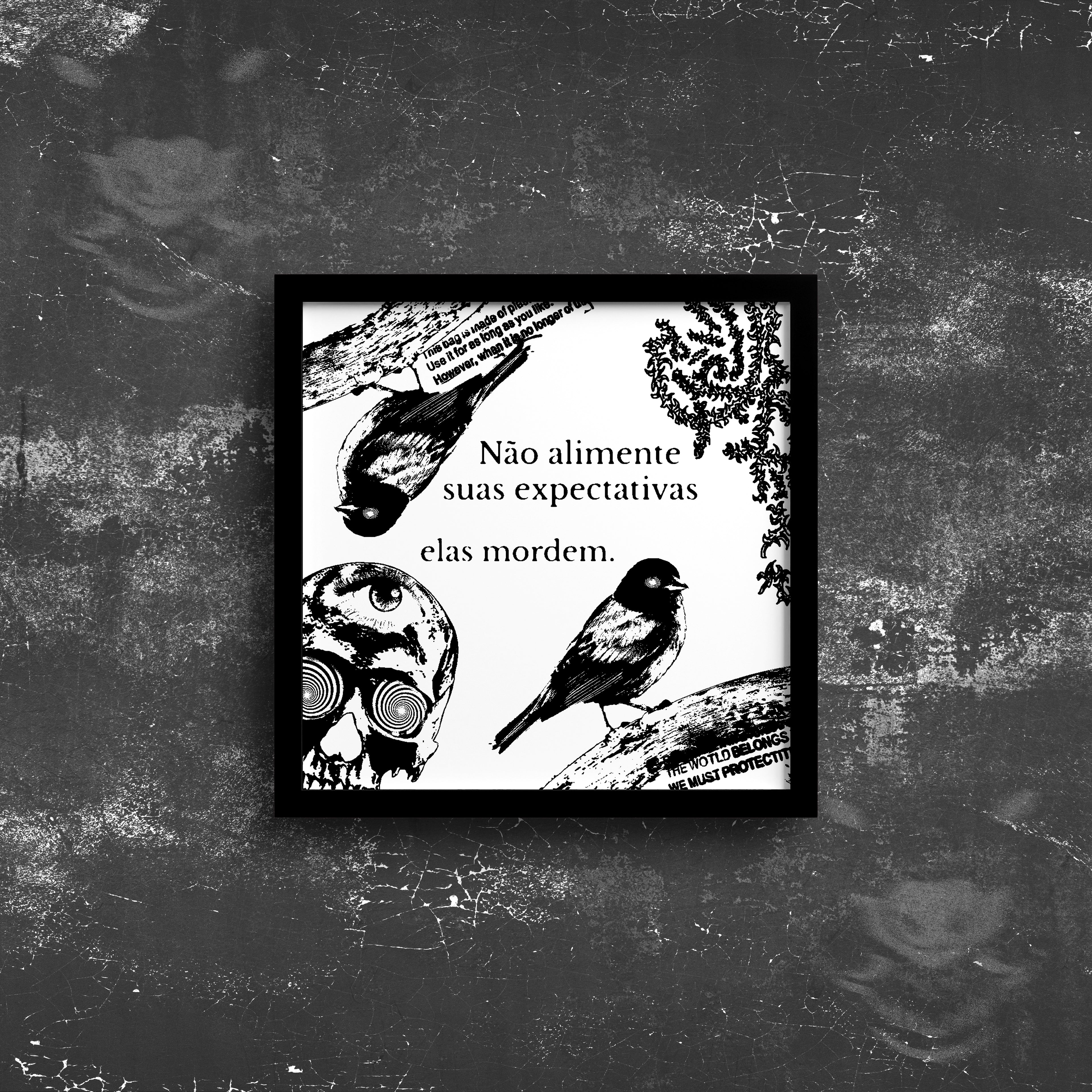 Expectativas