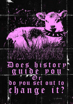 Does history guide you