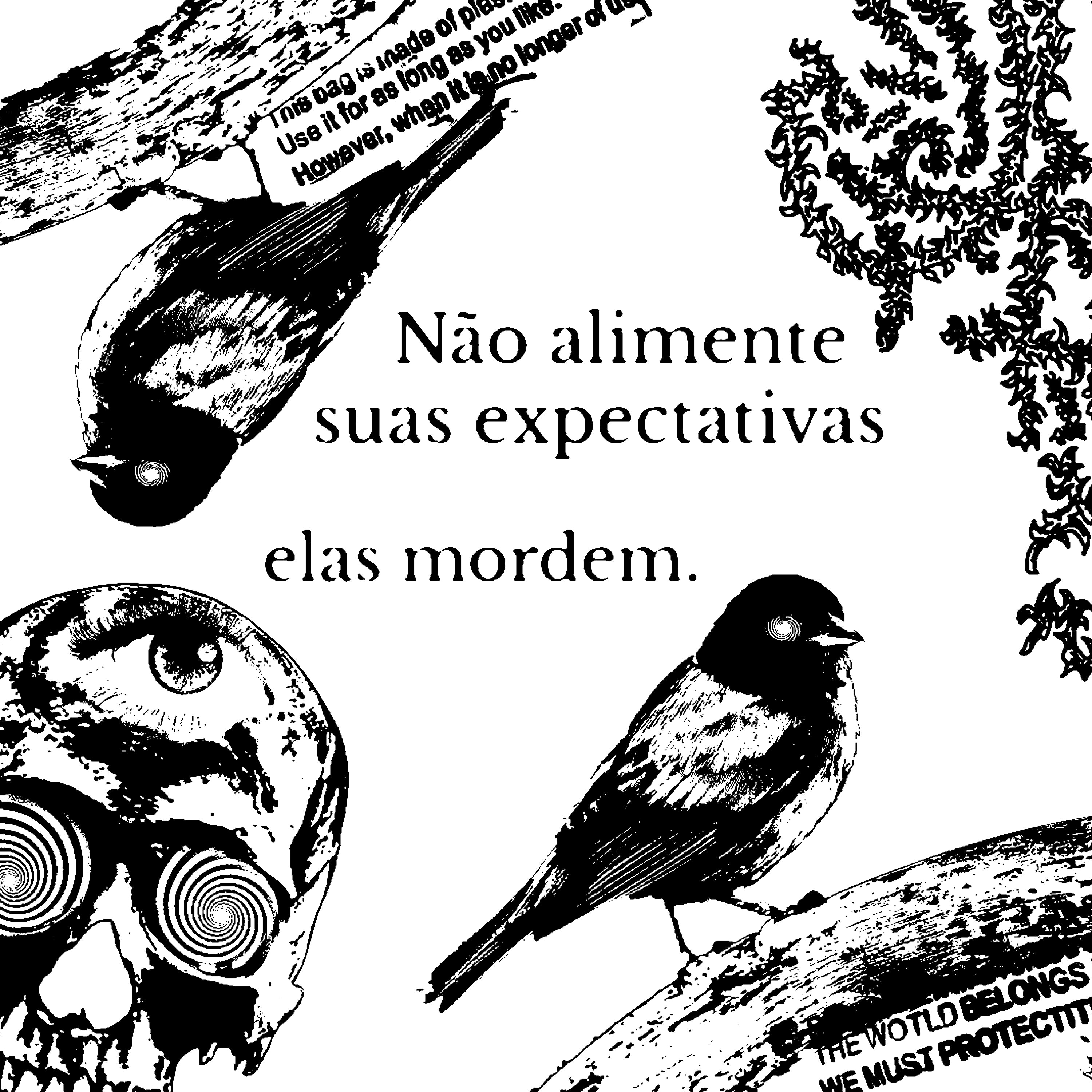 Expectativas