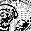 Gato Bobo