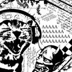 Gato Bobo
