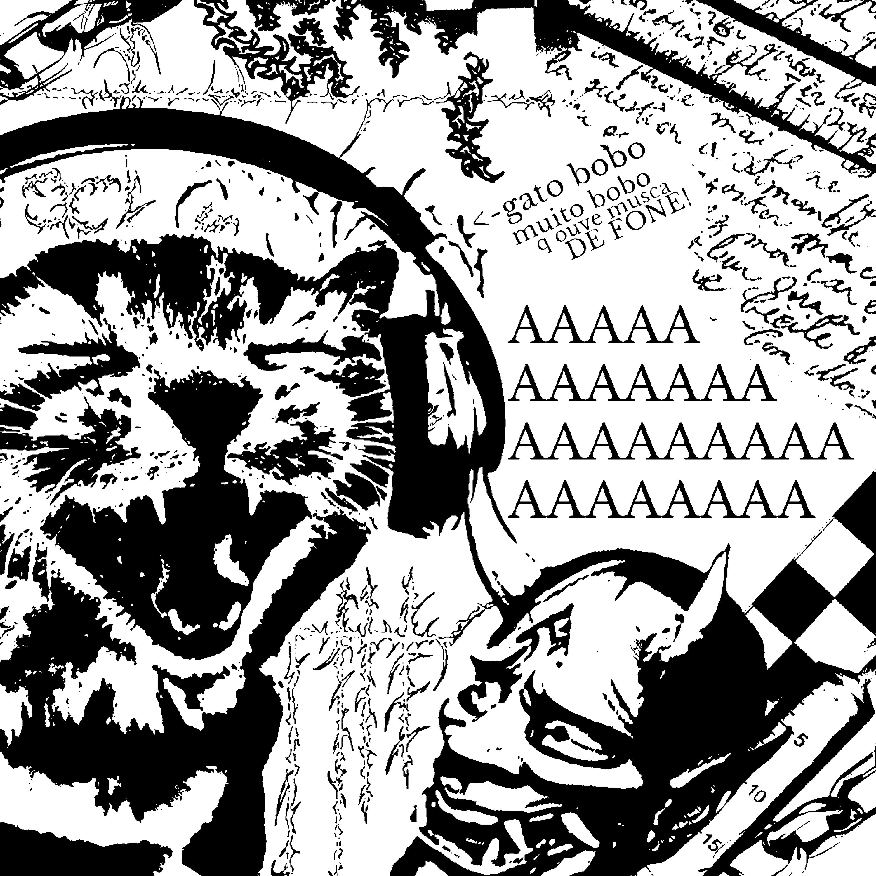 Gato Bobo