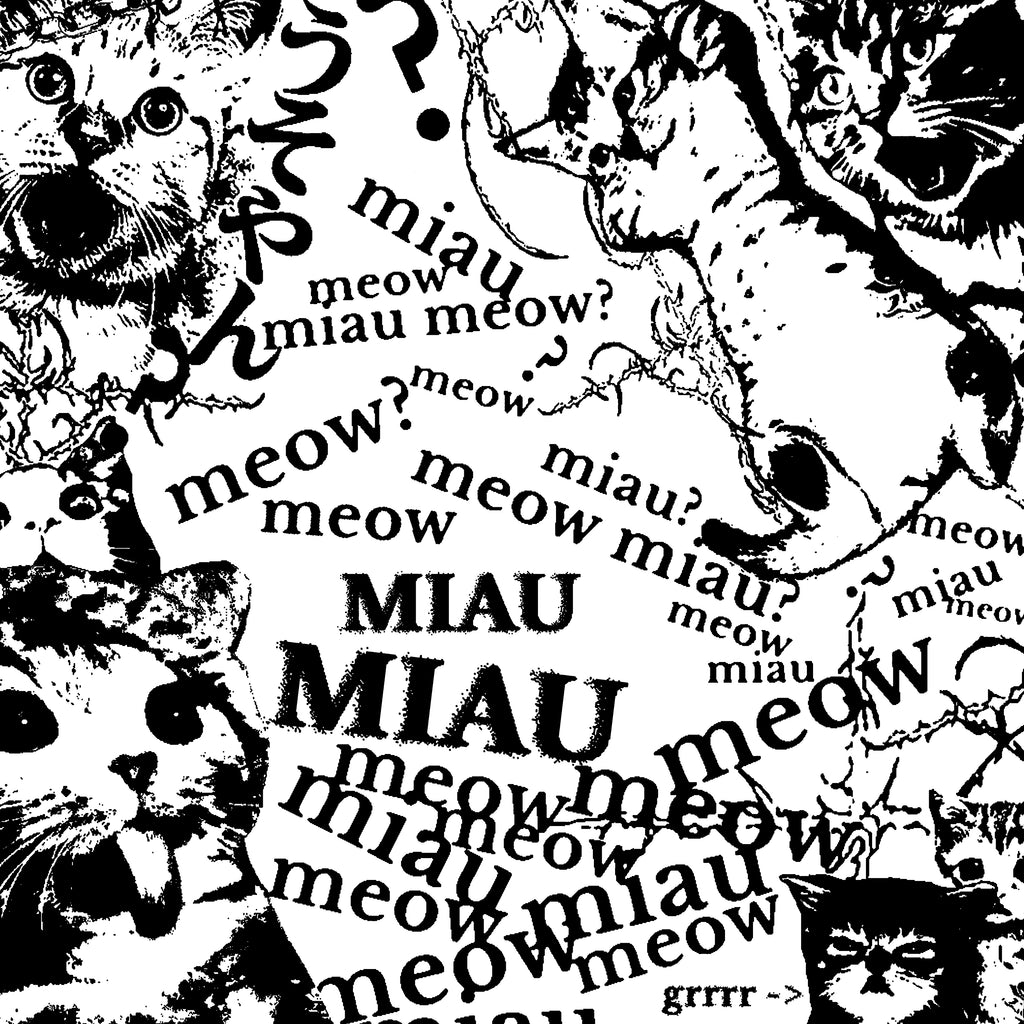 Meow Miau