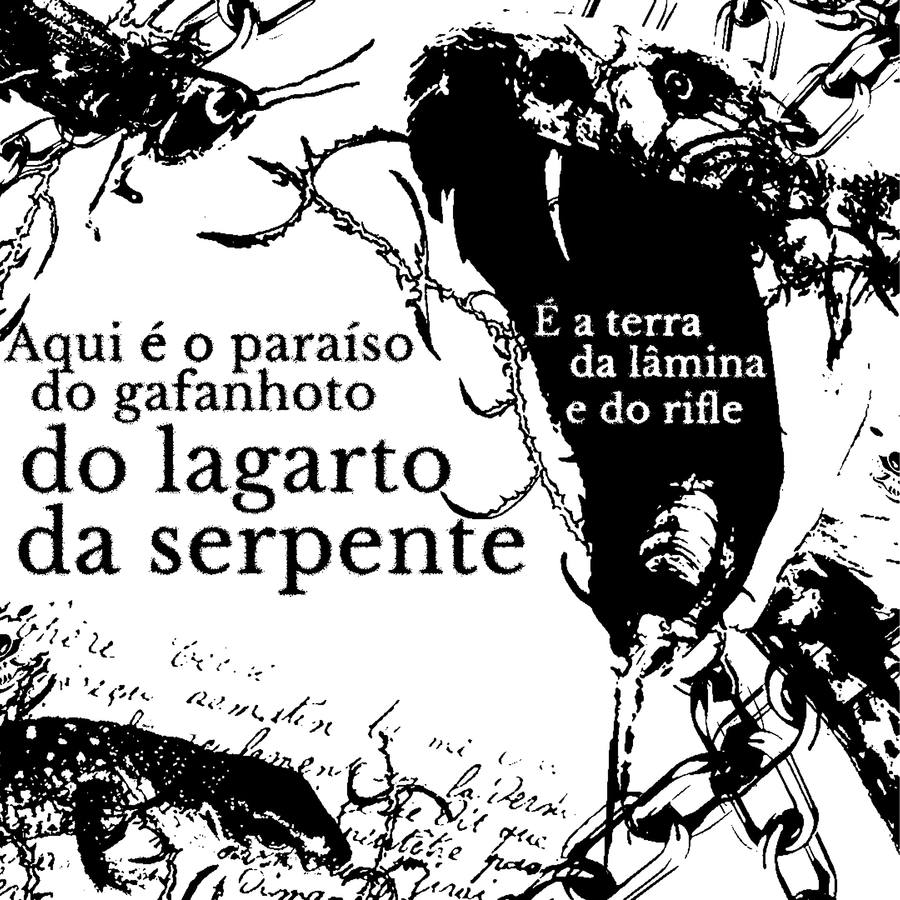Terra do Rifle